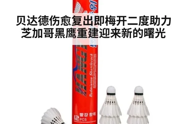 贝达德伤愈复出即梅开二度助力芝加哥黑鹰重建迎来新的曙光